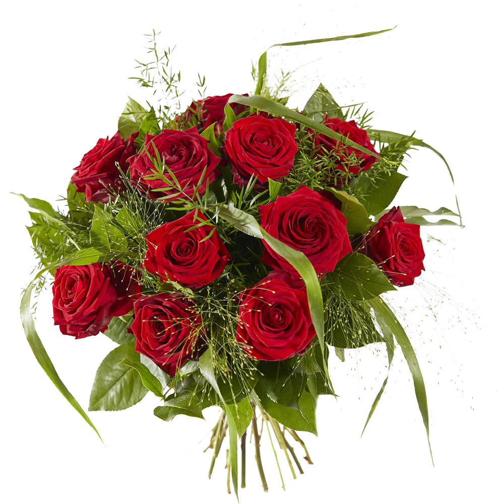 brandwonden Plotselinge afdaling Dat Lieflijk boeket rode rozen - Alpina - Flowershop The Hague