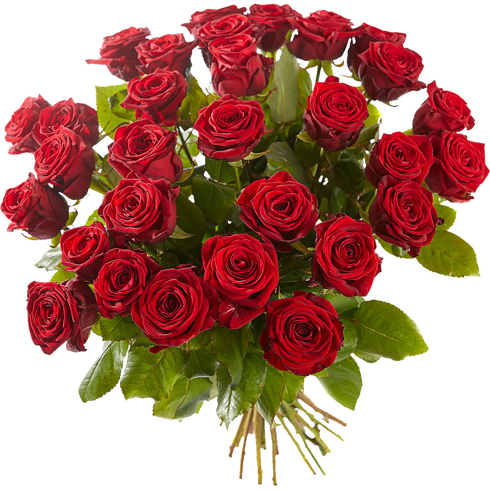 bovenstaand Legacy Berg kleding op Lange rode rozen bestellen en bezorgen in Den Haag - Alpina Bloemist