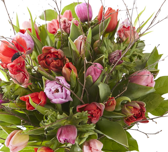 Spring bouquet with tulips