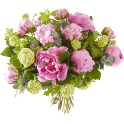 Bouquet of peonies Sarah Bernardt
