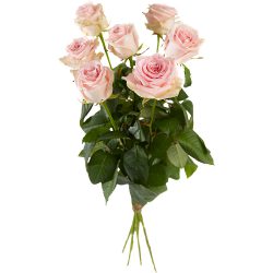 Bouquet of long stemmed pink roses