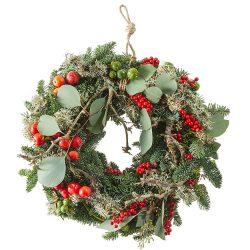 Red Christmas wreath with nobilis and berries
