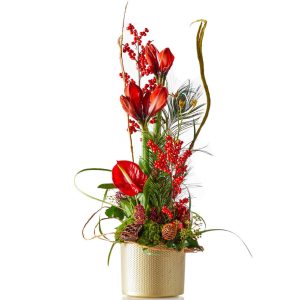 Red christmas arrangement with Amaryllis