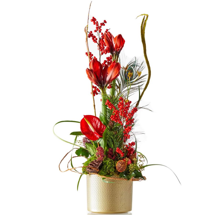 Stoer rood kerststuk met Amaryllis